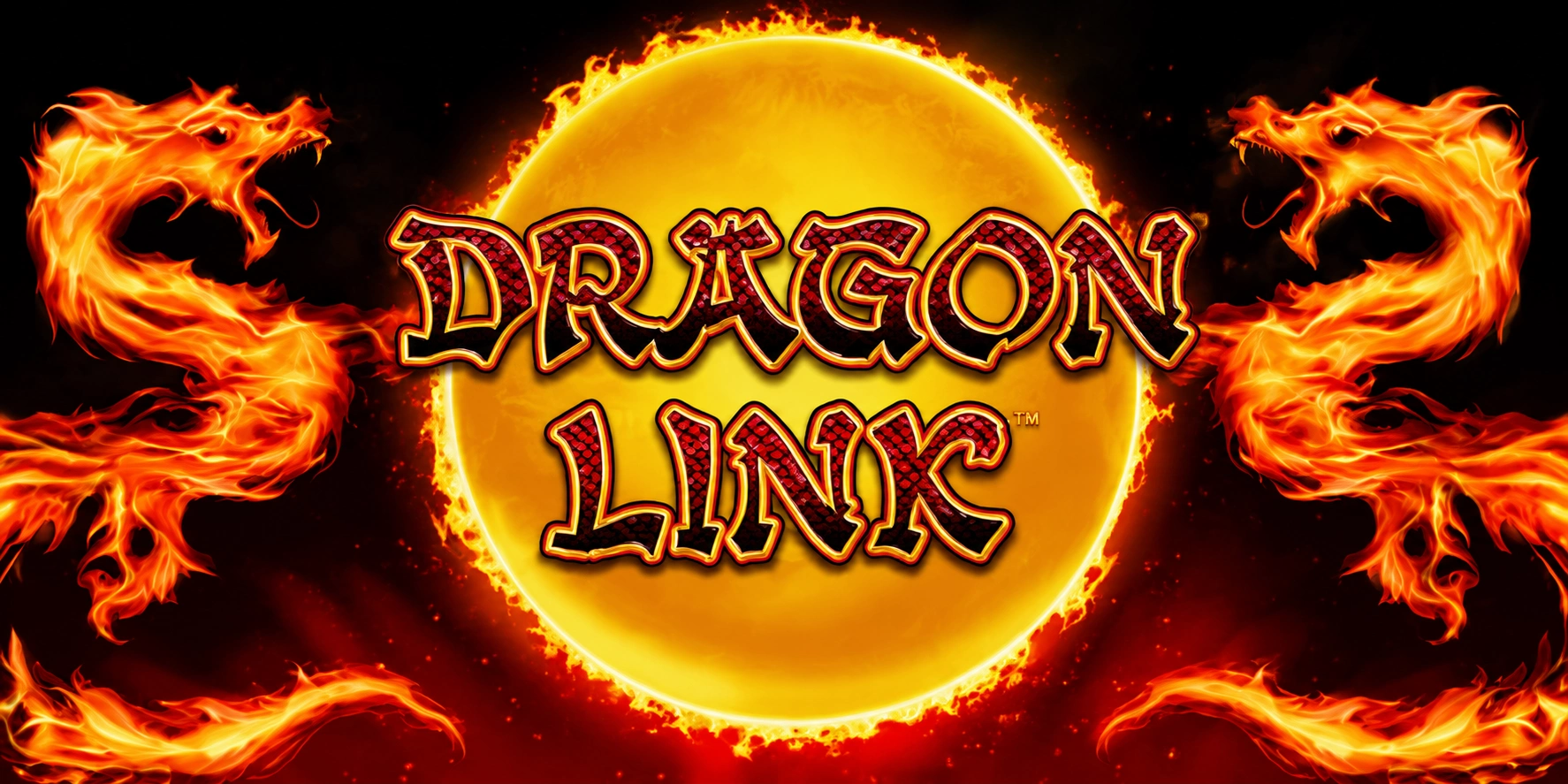Dragon Link